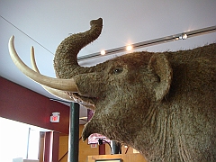 040 Cranbrook Institute of Science [2008 Jan 02]